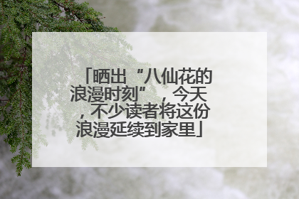 晒出“八仙花的浪漫时刻”，今天，不少读者将这份浪漫延续到家里
