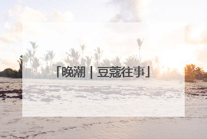 晚潮｜豆蔻往事