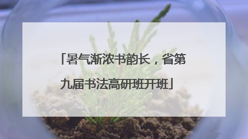 暑气渐浓书韵长，省第九届书法高研班开班