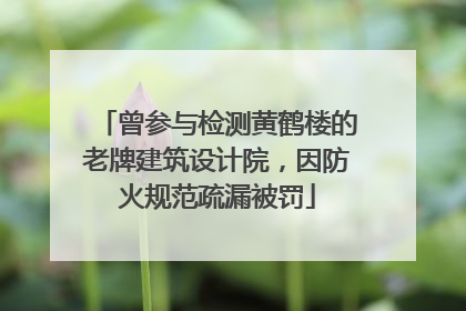 曾参与检测黄鹤楼的老牌建筑设计院，因防火规范疏漏被罚