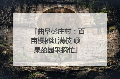 曲阜彭庄村：百亩樱桃红满枝 硕果盈园采摘忙