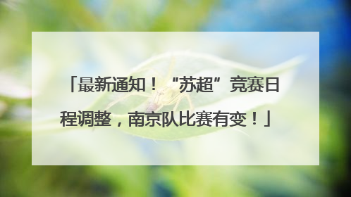 最新通知！“苏超”竞赛日程调整，南京队比赛有变！