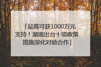 最高可获1000万元支持！湖南出台十项政策措施深化对德合作