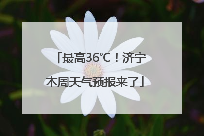最高36℃！济宁本周天气预报来了