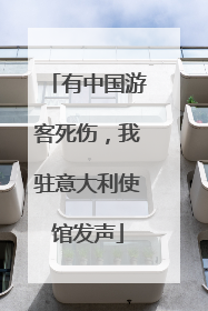 有中国游客死伤，我驻意大利使馆发声