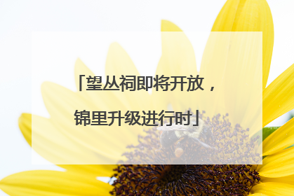 望丛祠即将开放，锦里升级进行时