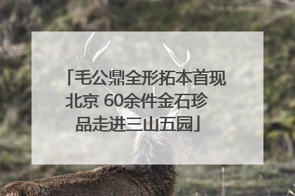 毛公鼎全形拓本首现北京 60余件金石珍品走进三山五园