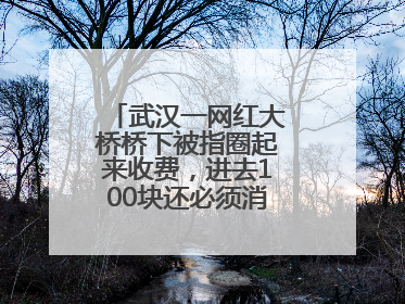 武汉一网红大桥桥下被指圈起来收费，进去100块还必须消费？当地回应