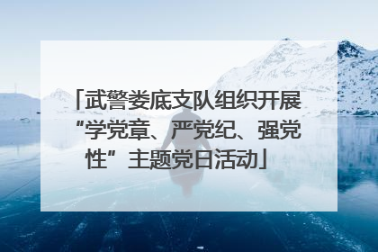 武警娄底支队组织开展“学党章、严党纪、强党性”主题党日活动