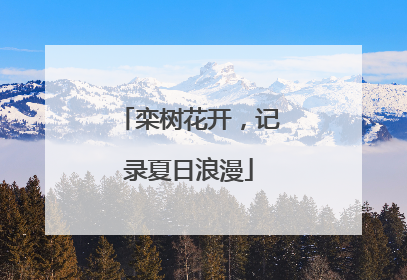 栾树花开，记录夏日浪漫