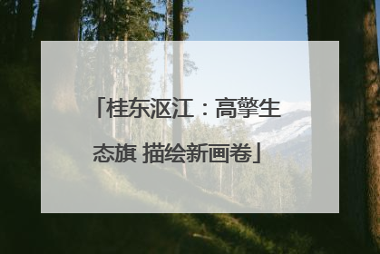 桂东沤江：高擎生态旗 描绘新画卷