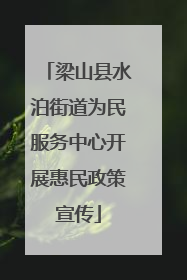 梁山县水泊街道为民服务中心开展惠民政策宣传