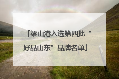 梁山港入选第四批“好品山东”品牌名单