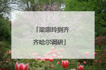 梁惠玲到齐齐哈尔调研
