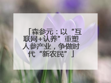 森参元：以“互联网+认养”重塑人参产业，争做时代“新农民”