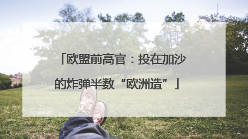 欧盟前高官：投在加沙的炸弹半数“欧洲造”