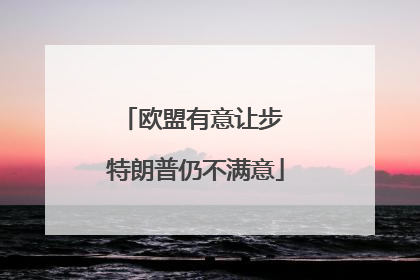 欧盟有意让步 特朗普仍不满意