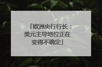 欧洲央行行长：美元主导地位正在变得不确定