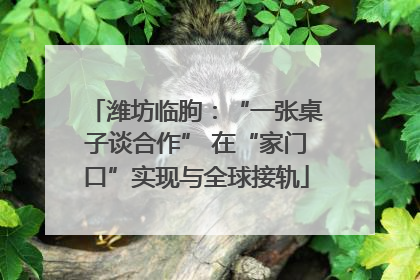 潍坊临朐：“一张桌子谈合作” 在“家门口”实现与全球接轨