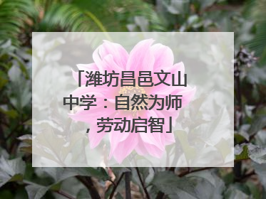 潍坊昌邑文山中学：自然为师，劳动启智