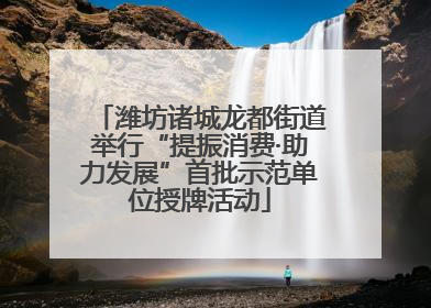 潍坊诸城龙都街道举行“提振消费·助力发展”首批示范单位授牌活动
