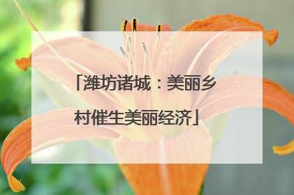 潍坊诸城：美丽乡村催生美丽经济