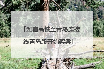 潍宿高铁至青岛连接线青岛段开始架梁