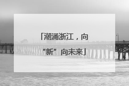 潮涌浙江，向“新”向未来