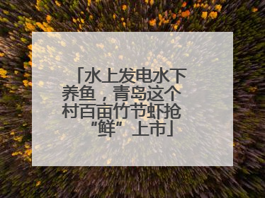 水上发电水下养鱼，青岛这个村百亩竹节虾抢“鲜”上市