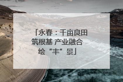 永春：千亩良田筑根基 产业融合绘“丰”景