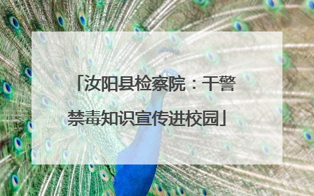 汝阳县检察院：干警禁毒知识宣传进校园
