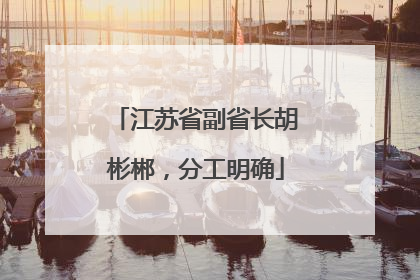 江苏省副省长胡彬郴，分工明确