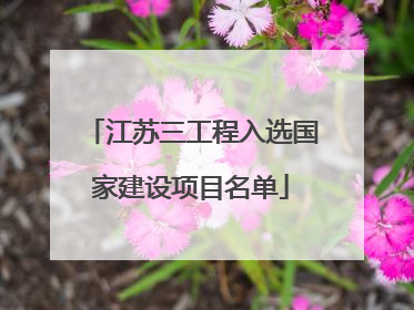 江苏三工程入选国家建设项目名单