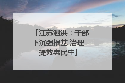 江苏泗洪：干部下沉强根基 治理提效惠民生