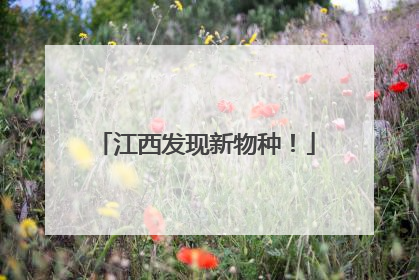 江西发现新物种！
