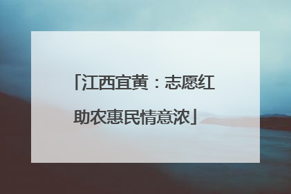 江西宜黄：志愿红助农惠民情意浓