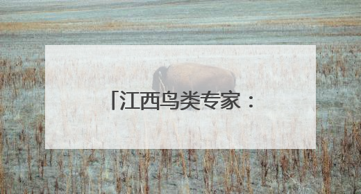 江西鸟类专家：彩鹮筑巢或撬动全年观鸟经济链