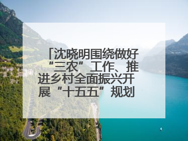 沈晓明围绕做好“三农”工作、推进乡村全面振兴开展“十五五”规划专题调研