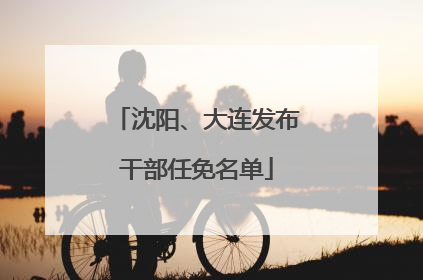 沈阳、大连发布干部任免名单