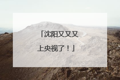沈阳又又又上央视了！