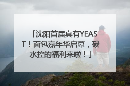 沈阳首届真有YEAST！面包嘉年华启幕，碳水控的福利来啦！