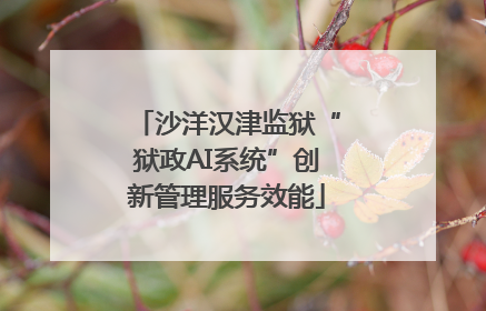 沙洋汉津监狱“狱政AI系统”创新管理服务效能