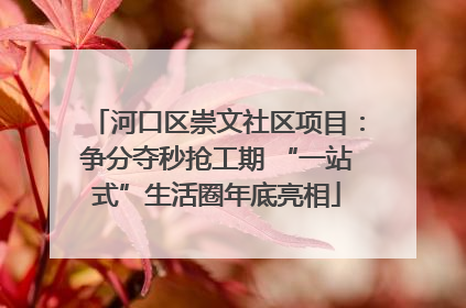 河口区崇文社区项目：争分夺秒抢工期 “一站式”生活圈年底亮相