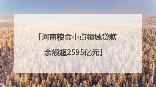 河南粮食重点领域贷款余额超2595亿元