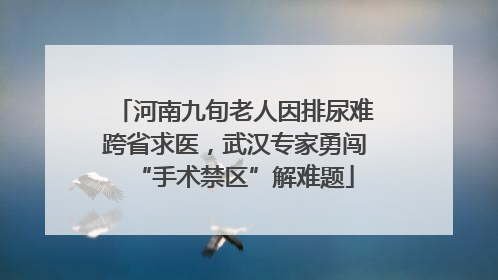 河南九旬老人因排尿难跨省求医，武汉专家勇闯“手术禁区”解难题