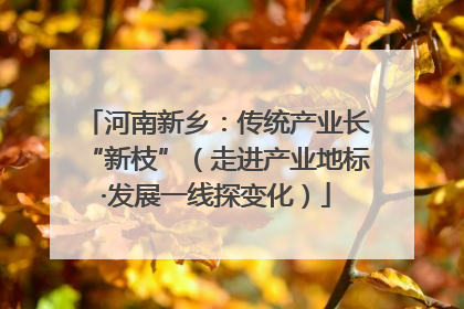 河南新乡：传统产业长“新枝”（走进产业地标·发展一线探变化）
