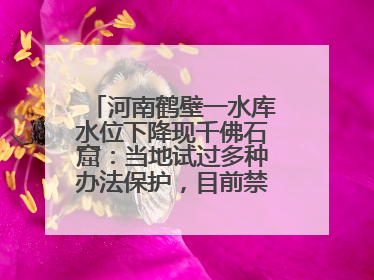 河南鹤壁一水库水位下降现千佛石窟：当地试过多种办法保护，目前禁止打卡