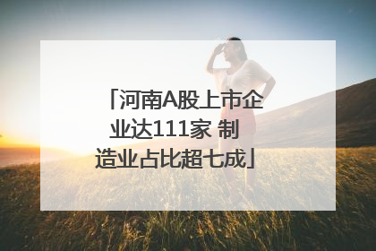 河南A股上市企业达111家 制造业占比超七成
