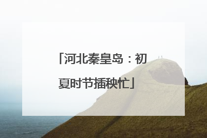 河北秦皇岛：初夏时节插秧忙