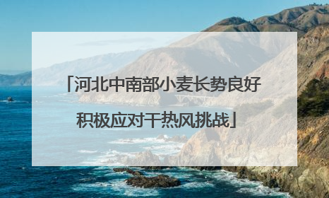 河北中南部小麦长势良好 积极应对干热风挑战